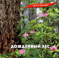 Дождливый Лес (Звуки Природы) Дождливый Лес (Звуки Природы)